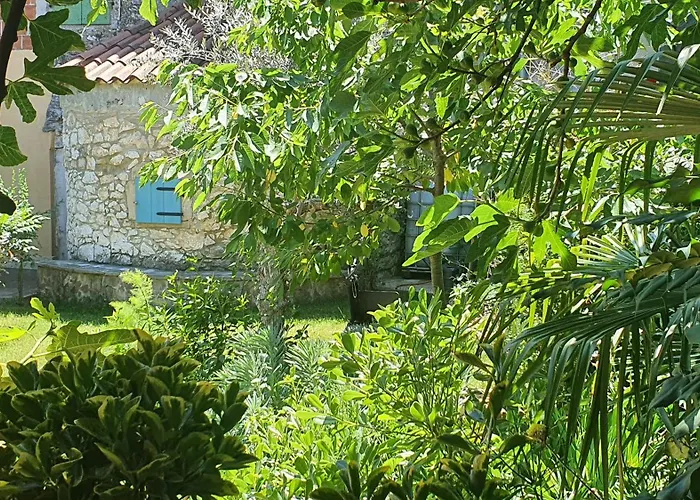 Villa Kazun With Private Pool And Two Gardens